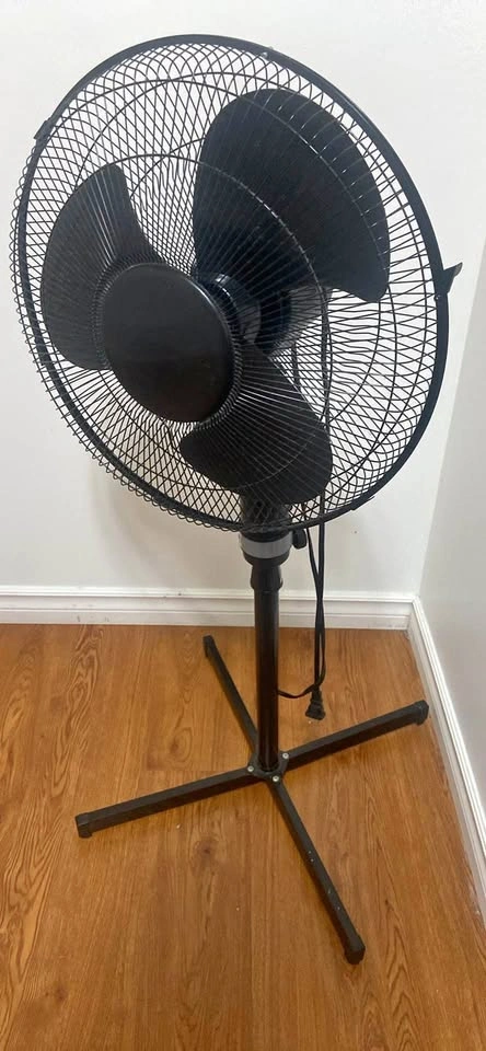 Black Oscillating Pedestal Fan
