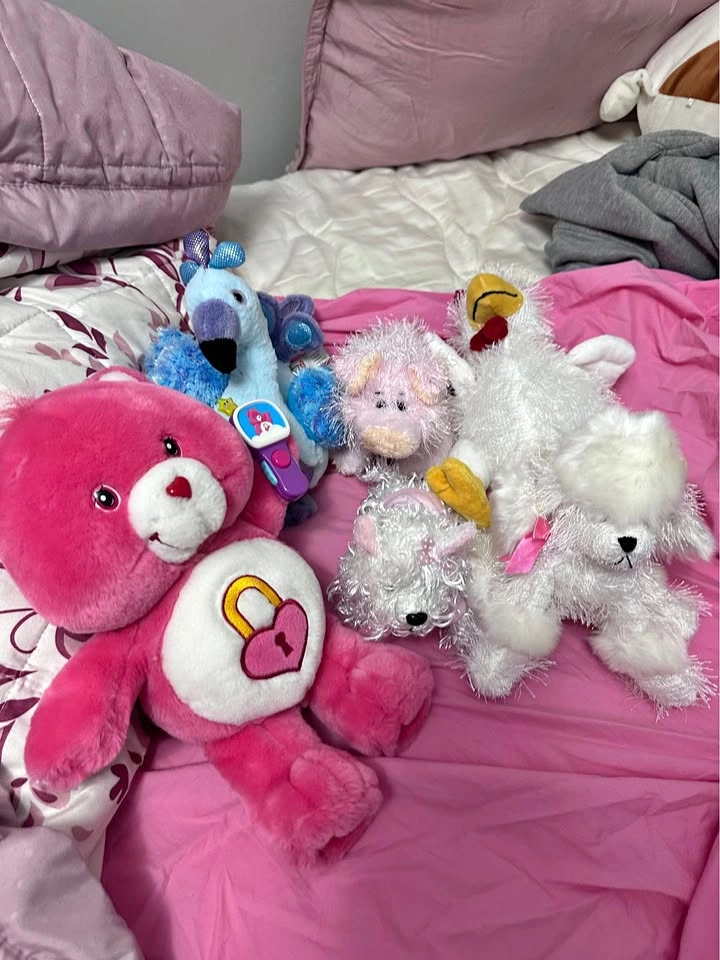 Secret Care Bear Heart Lock and Webkinz Plush Toy Bundle