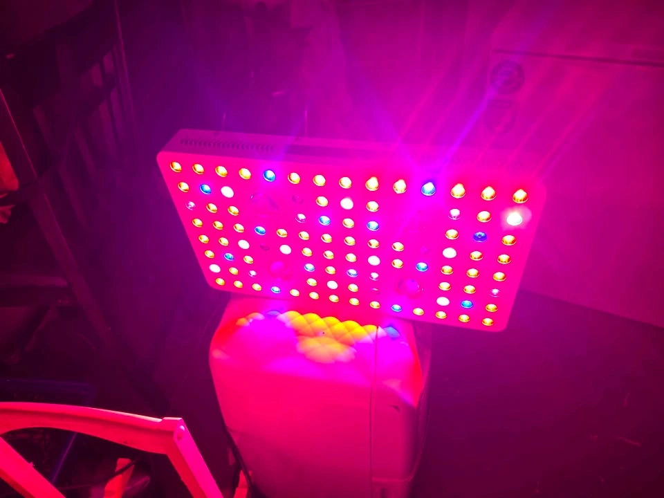Phlizon 450W LED Grow Light + Happy Hydroponics Nutrients - photo 3
