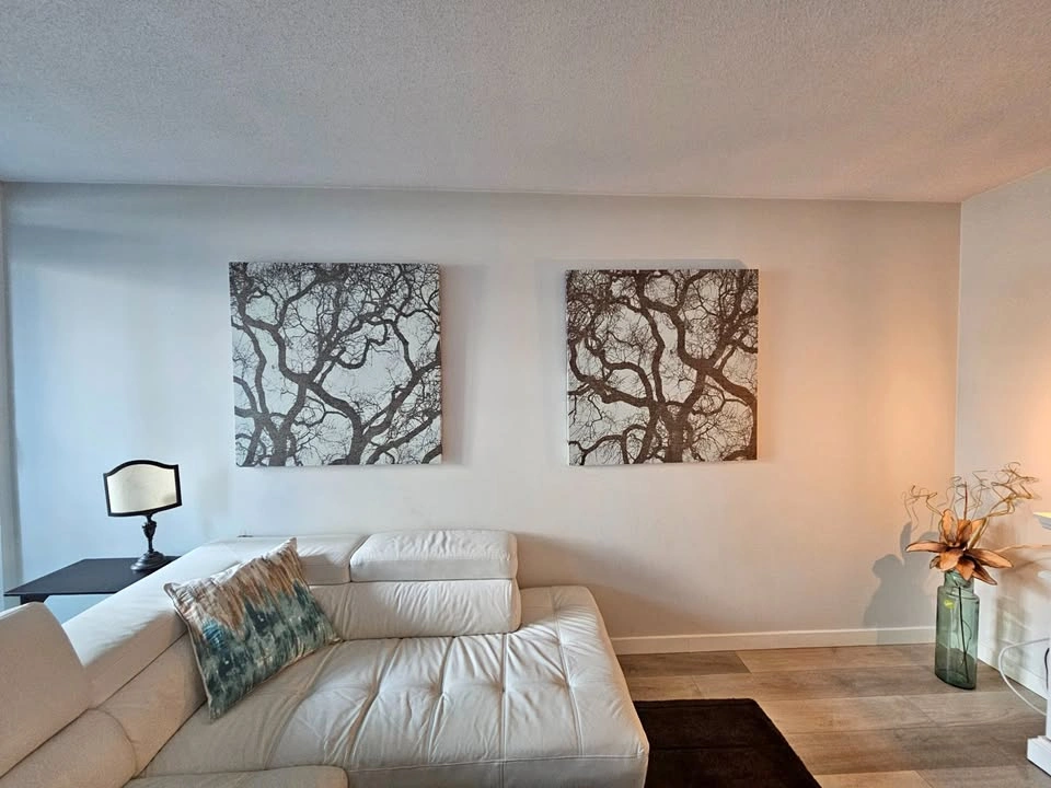 Gorgeous set of framed canvas 39.5 x 39.5