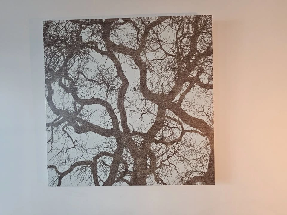 Gorgeous set of framed canvas 39.5 x 39.5 - photo 2