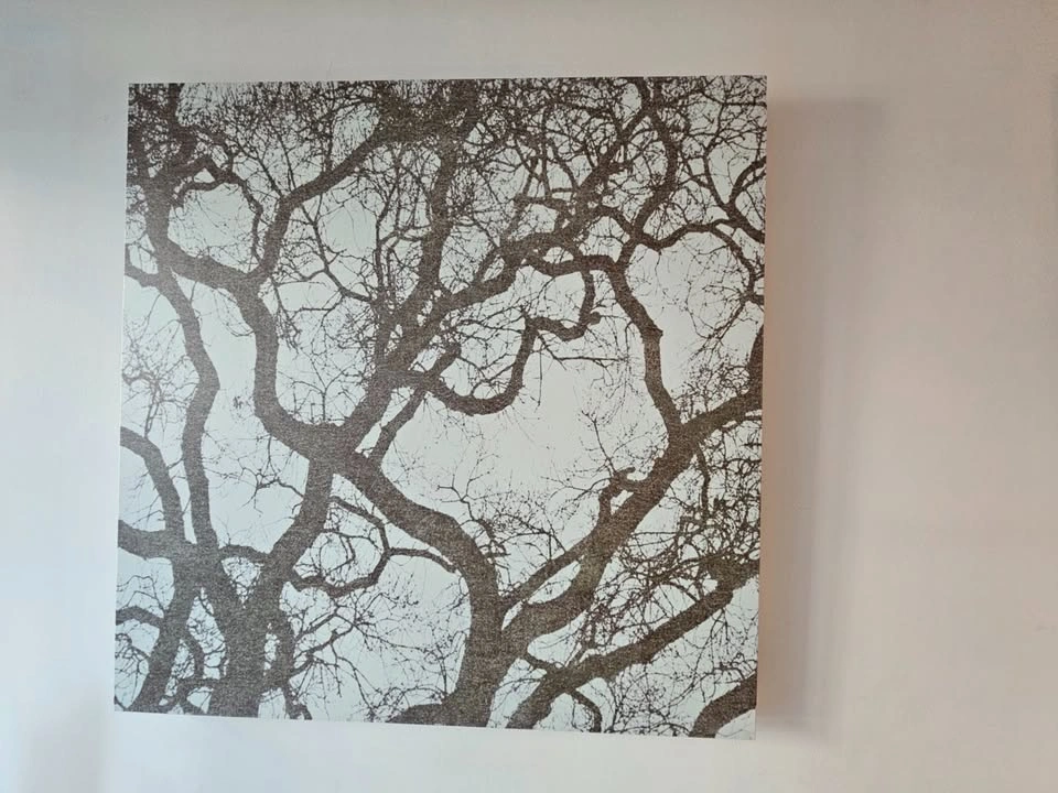 Gorgeous set of framed canvas 39.5 x 39.5 - photo 3