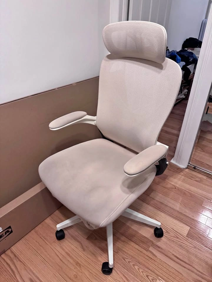 Ergonomic Office Chair