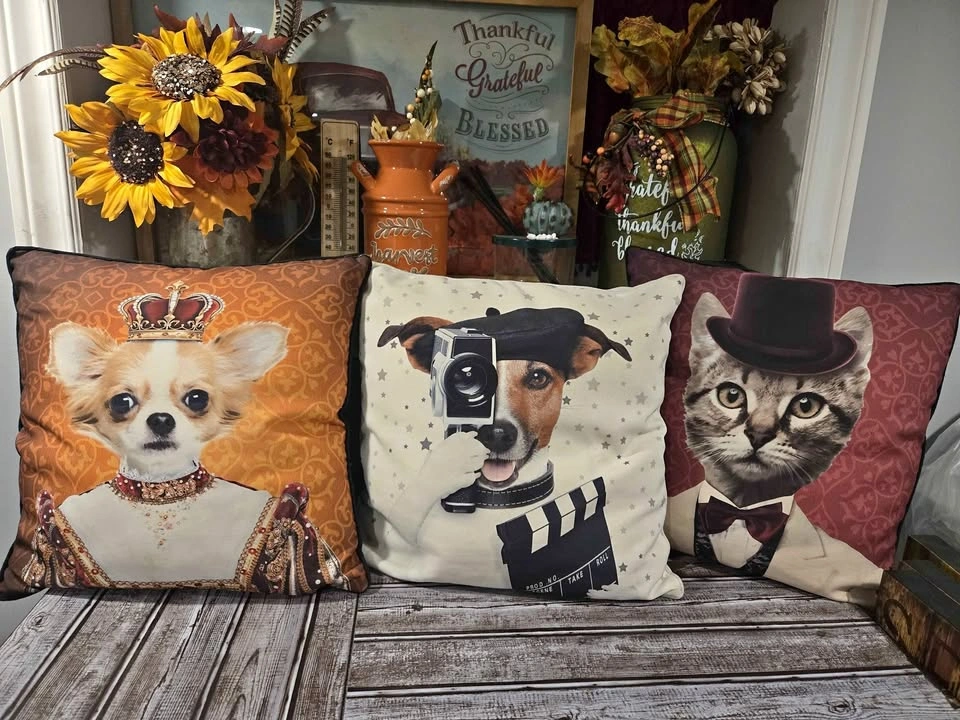 3 decorative cushions for indoor or outdoor