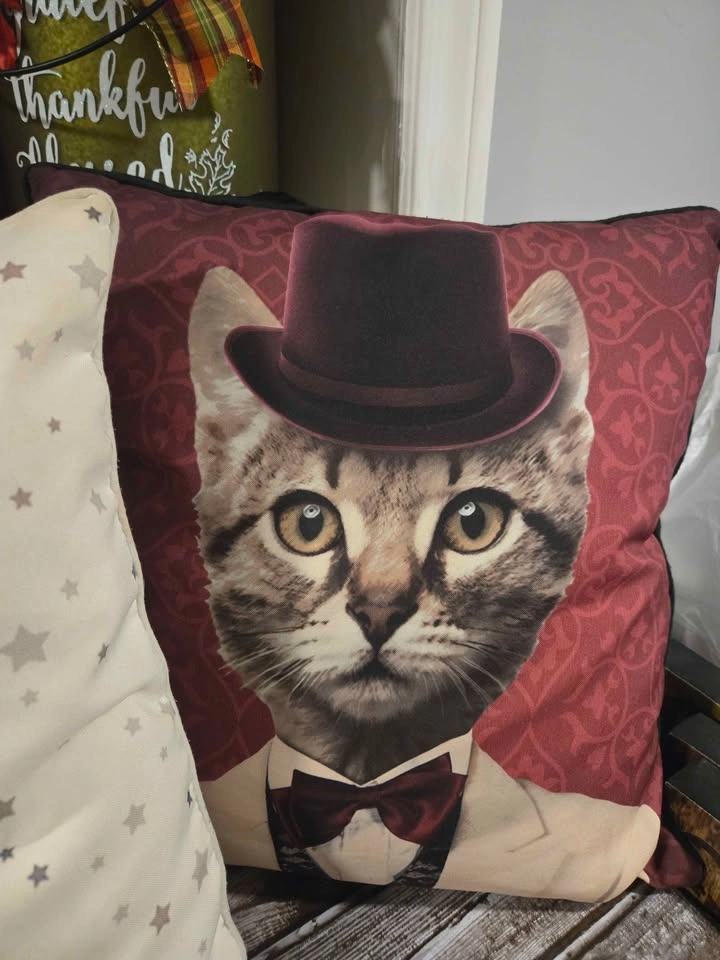 3 decorative cushions for indoor or outdoor - photo 5