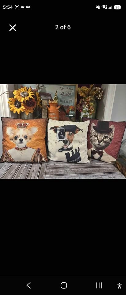 9 Decorative Cushions like new can be used for indoor or outdoor