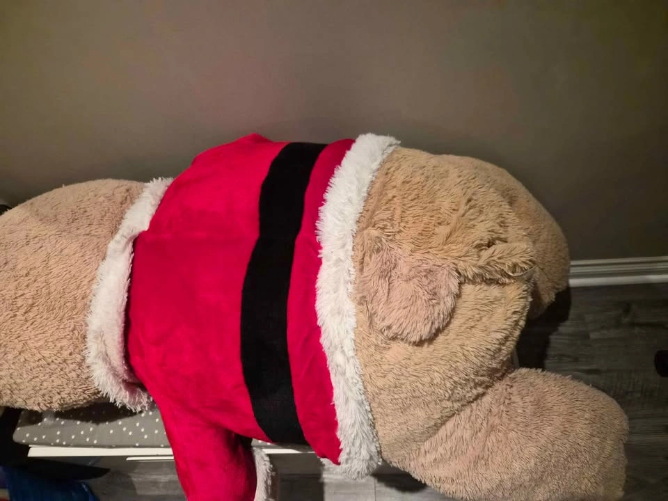 5 feet huge teddy bear plush for Christmas giftable - photo 3
