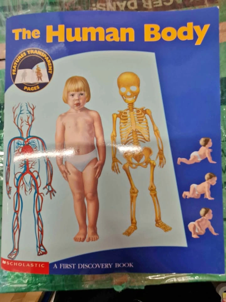 The human body children book