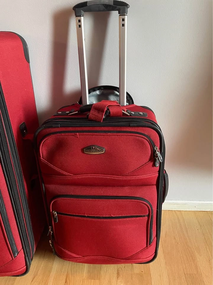 3-Piece Luggage Set – Excellent Condition Ricardo Beverly Hills - photo 4