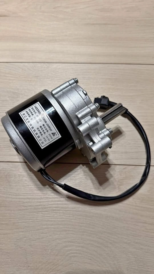 Electric Wheelchair motor - Single - 250W