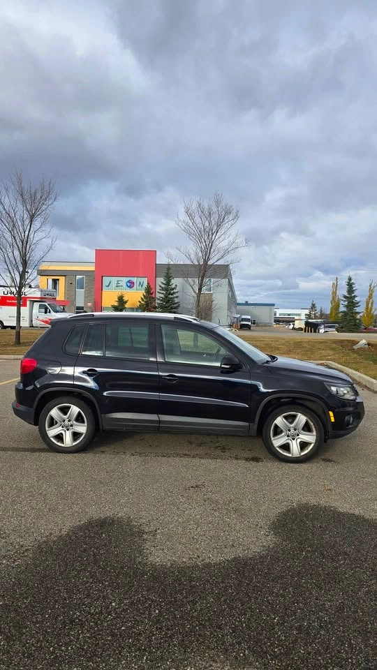 2013 Volkswagen Tiguan - photo 3