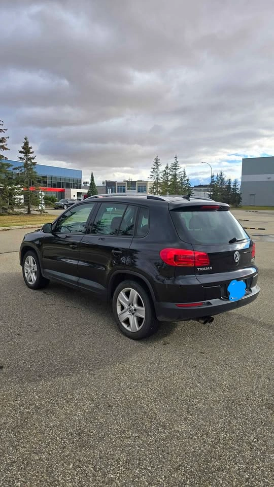 2013 Volkswagen Tiguan - photo 5