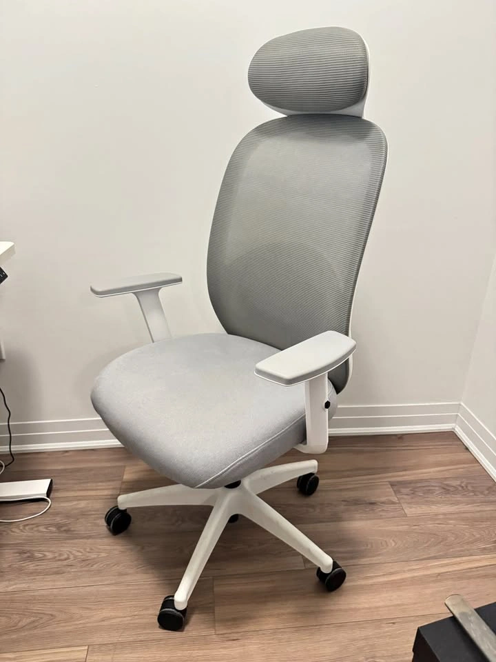 Ergonomic mesh office chair with high back and adjustable headre