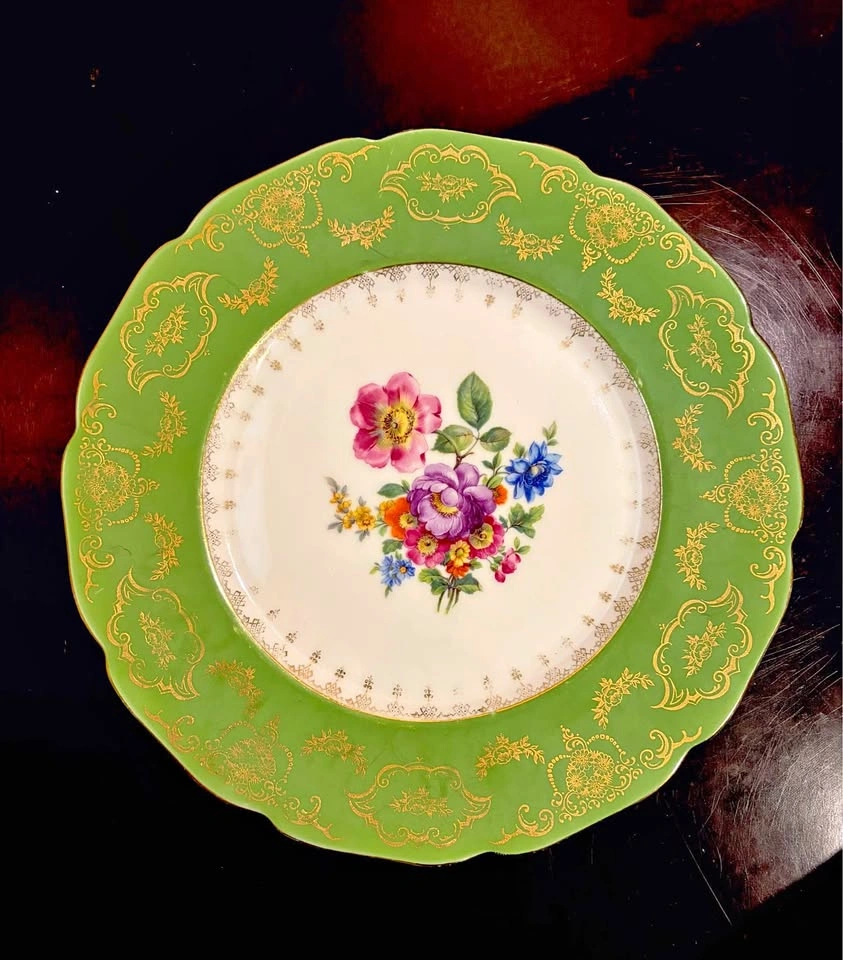 Antique Czech Porcelain Floral Cabinet Plate – Rudolf Kämpf