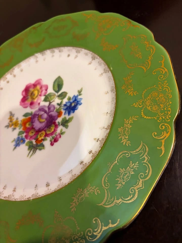 Antique Czech Porcelain Floral Cabinet Plate – Rudolf Kämpf - photo 2