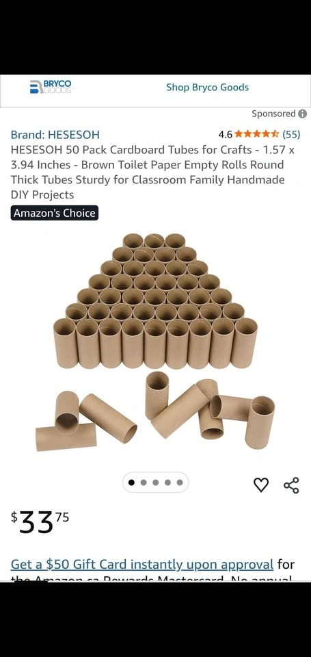 Empty Toilet Paper & Paper Towel Rolls (Arts & Crafts) - photo 2