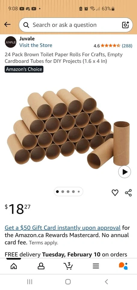 Empty Toilet Paper & Paper Towel Rolls (Arts & Crafts) - photo 3