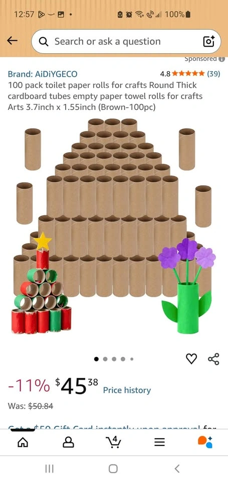 Empty Toilet Paper & Paper Towel Rolls (Arts & Crafts) - photo 4