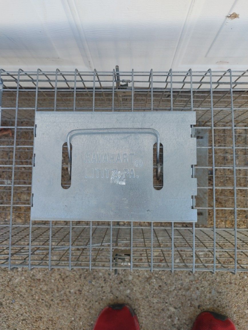 Bed Frames, Animal Trap, Aquarium, Carpet Tiles & More - photo 5