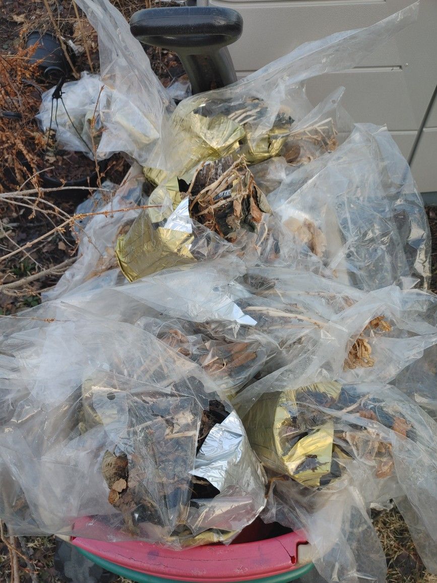 Free Old Dead Plants With Dirt/Soil PU Oakbrook