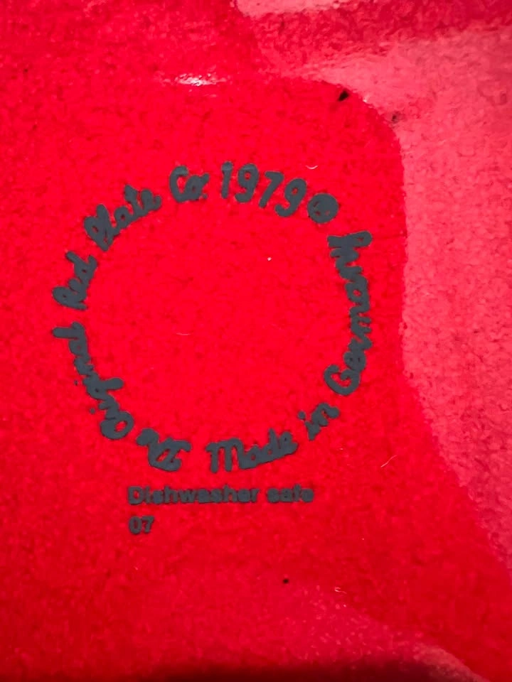 Vintage "You Are Special Today" Red Plate – Waechtersbach German - photo 3
