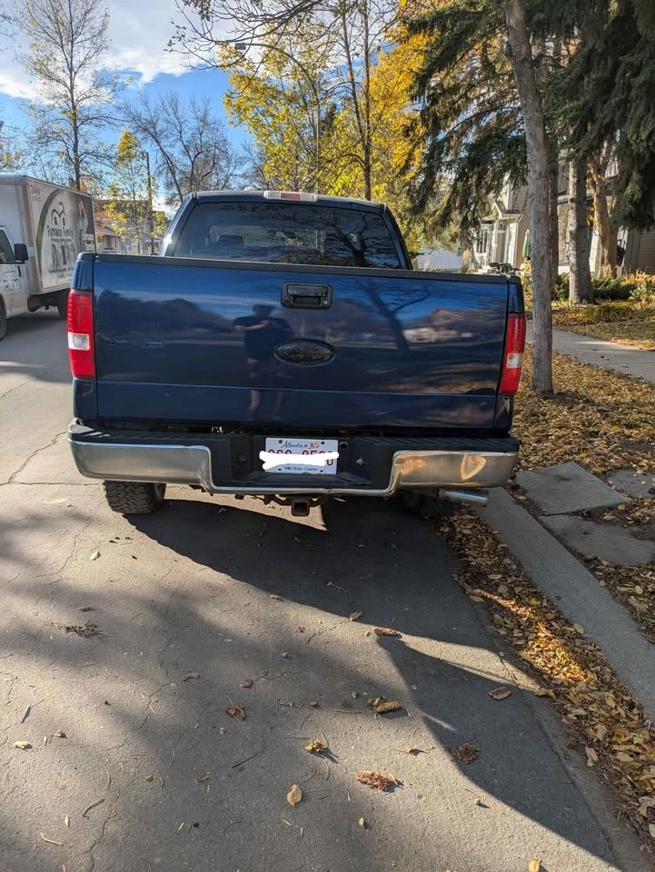 2008 Ford F-150 - photo 4