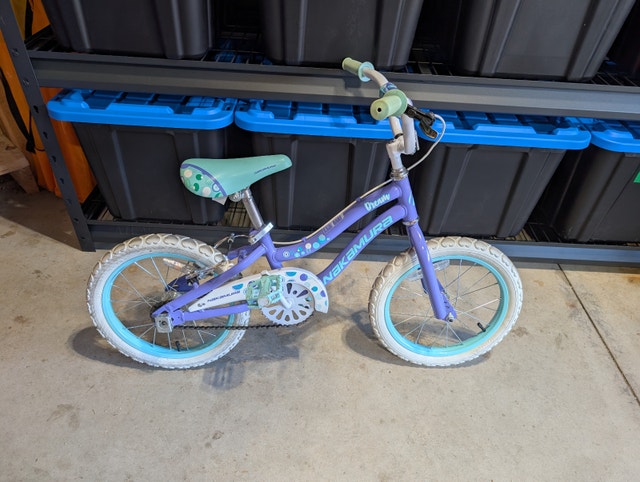 JR 16" Bicycle