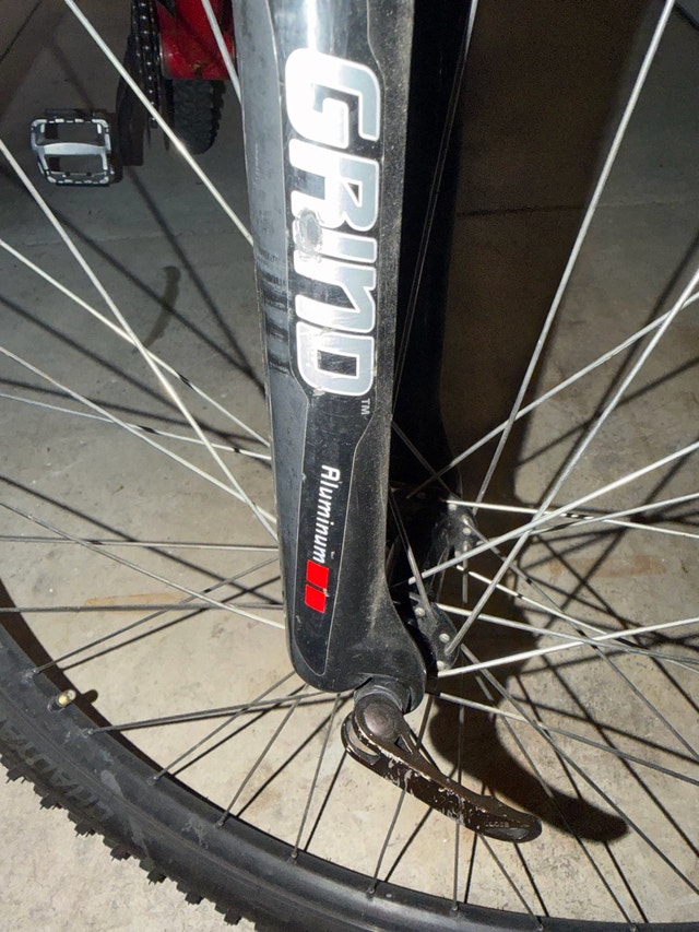 mountain bike - photo 5
