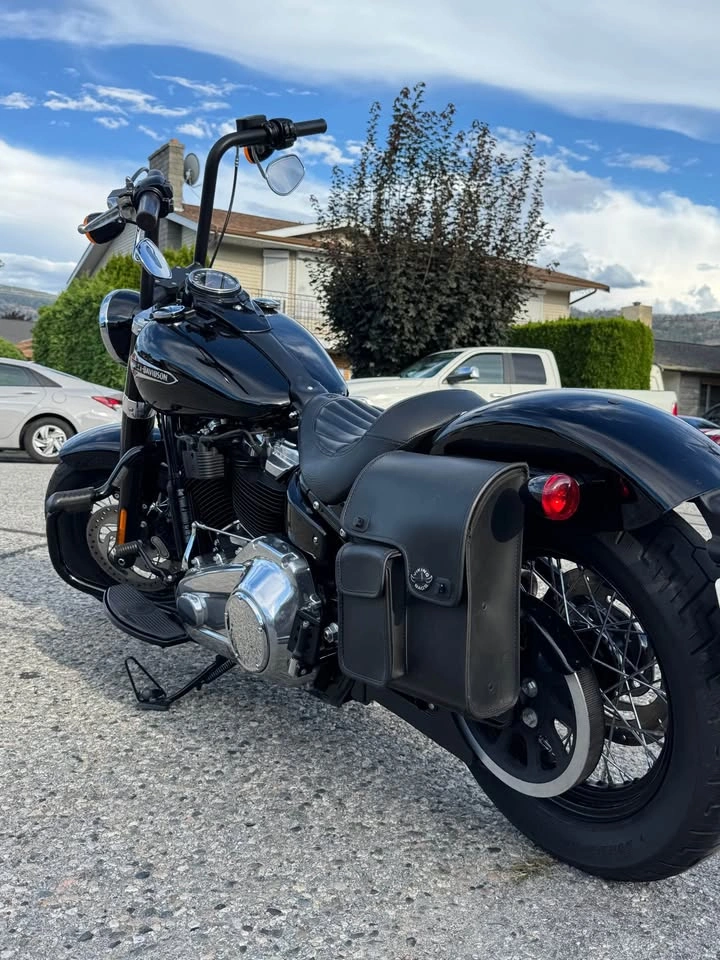 Harley Davidson 2019 Softail Slim - photo 2
