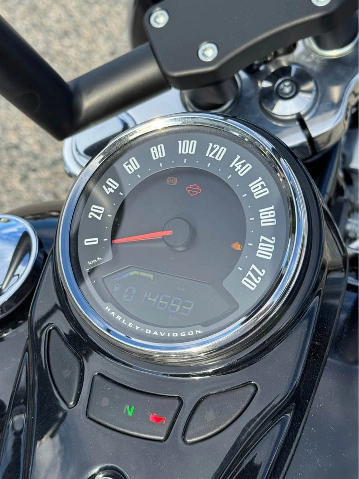 Harley Davidson 2019 Softail Slim - photo 4