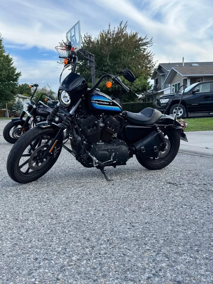 2019 Sporster XL Iron - photo 3