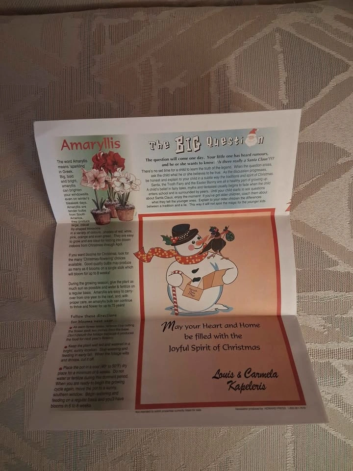 Vintage 2005 Louis & Carmela Kapeleris Real Estate Newsletter - photo 3