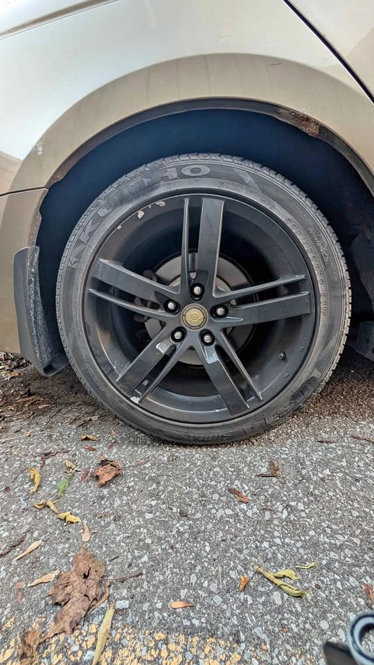 BSA RIMS 17"