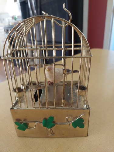 Vintage Bird Automaton (Music Box Music Works Edelweiss)