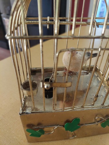 Vintage Bird Automaton (Music Box Music Works Edelweiss) - photo 4