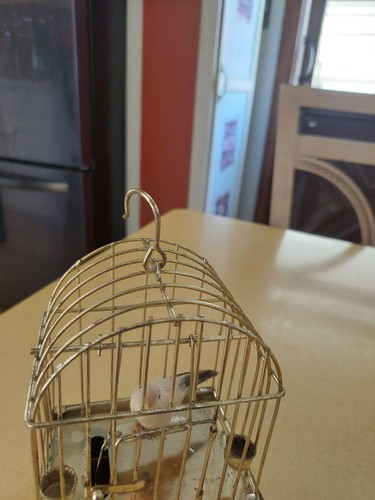 Vintage Bird Automaton (Music Box Music Works Edelweiss) - photo 5