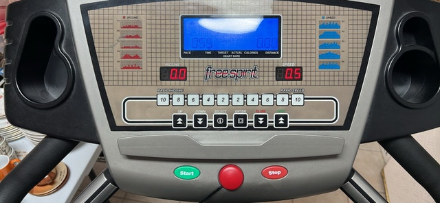 FreeSpirit Treadmill - photo 2