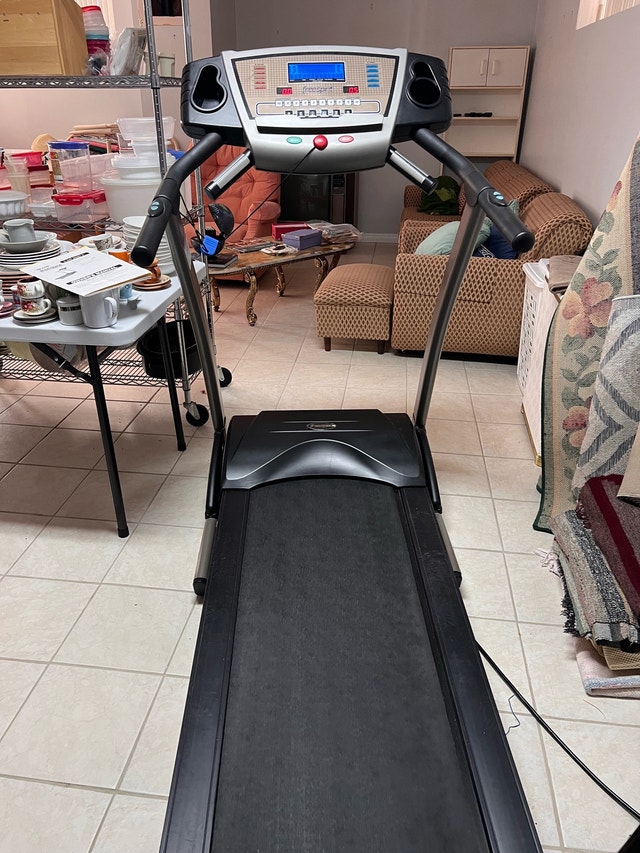 FreeSpirit Treadmill - photo 4