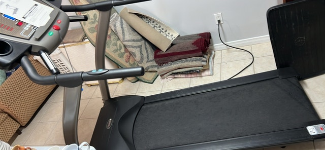 FreeSpirit Treadmill - photo 5
