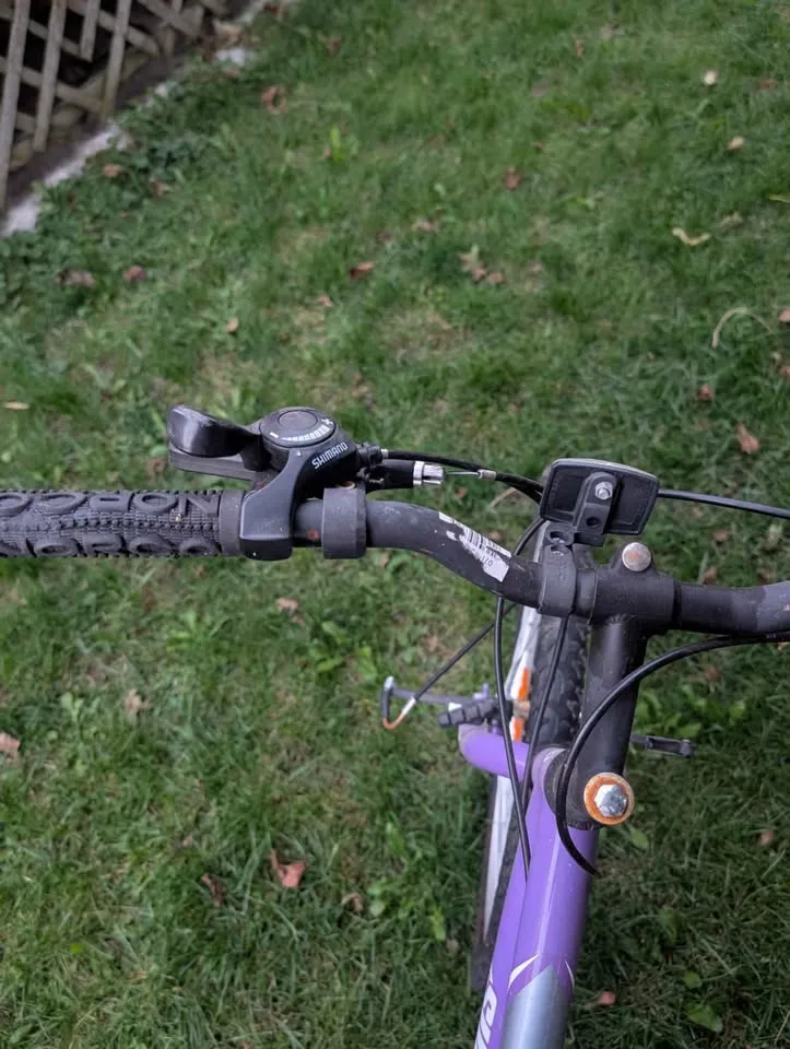 Purple mountain bike image indicator(2)