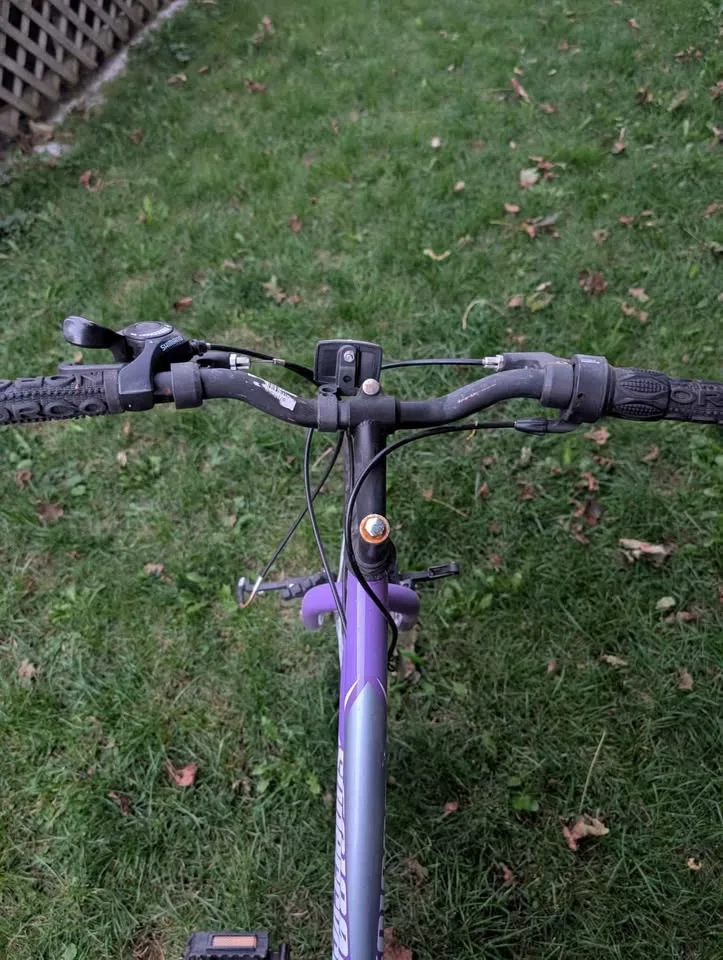 Purple mountain bike image indicator(3)