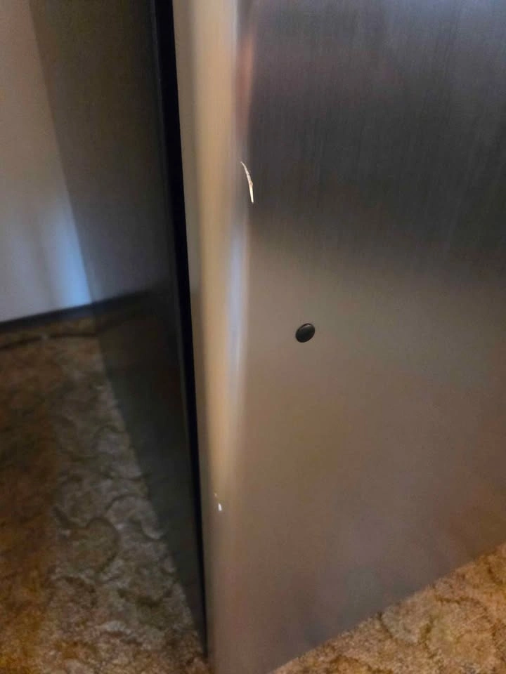 Stainless Steel Beaumark Refrigerator Delivery Available - photo 2