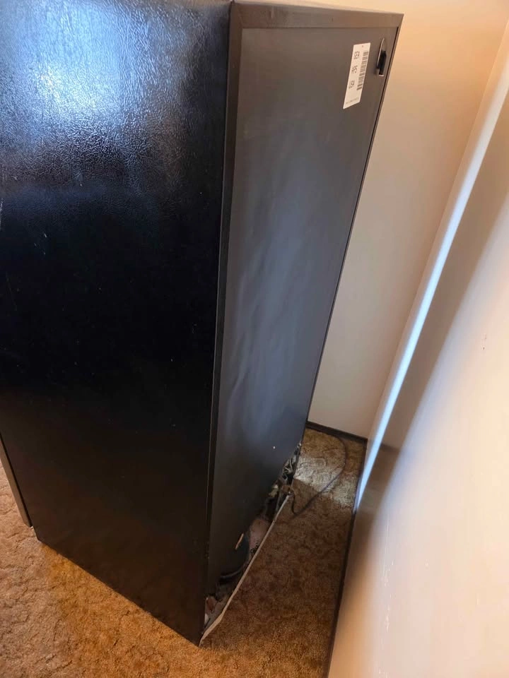 Stainless Steel Beaumark Refrigerator Delivery Available - photo 4