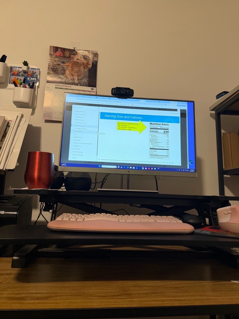 FLEXISPOT Stand Up Desk Converter (M7B)