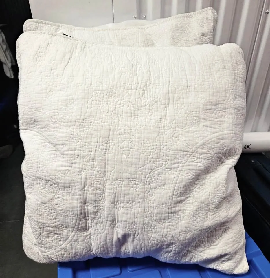 Two 20” Pillows/Inserts thumbnail