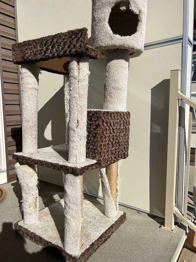 Cat Tree/ Litter Box/ Litter
