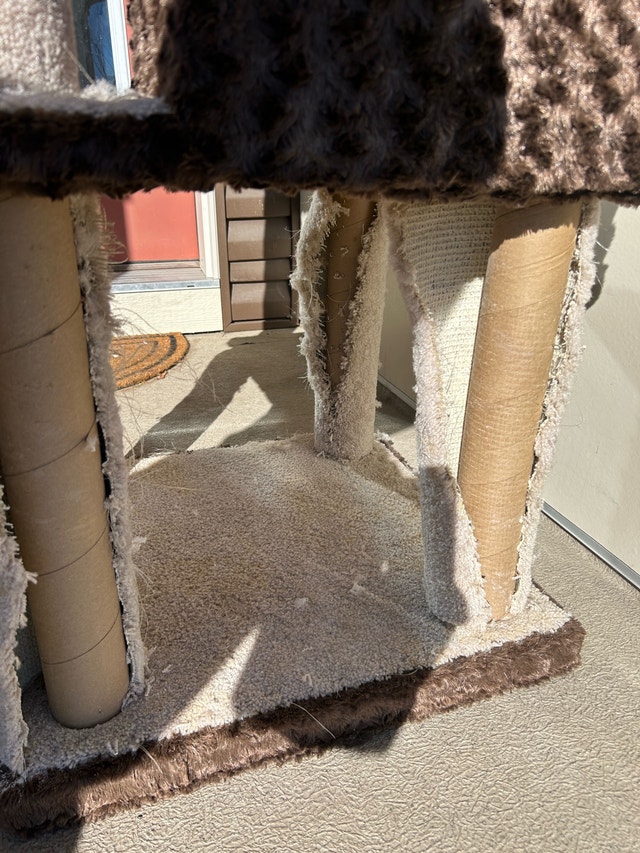 Cat Tree/ Litter Box/ Litter - photo 2