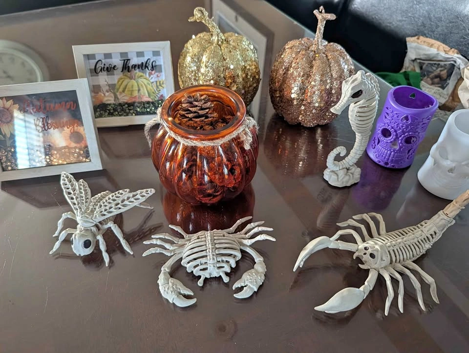 Halloween and Autumn Seasonal Decor Bundle