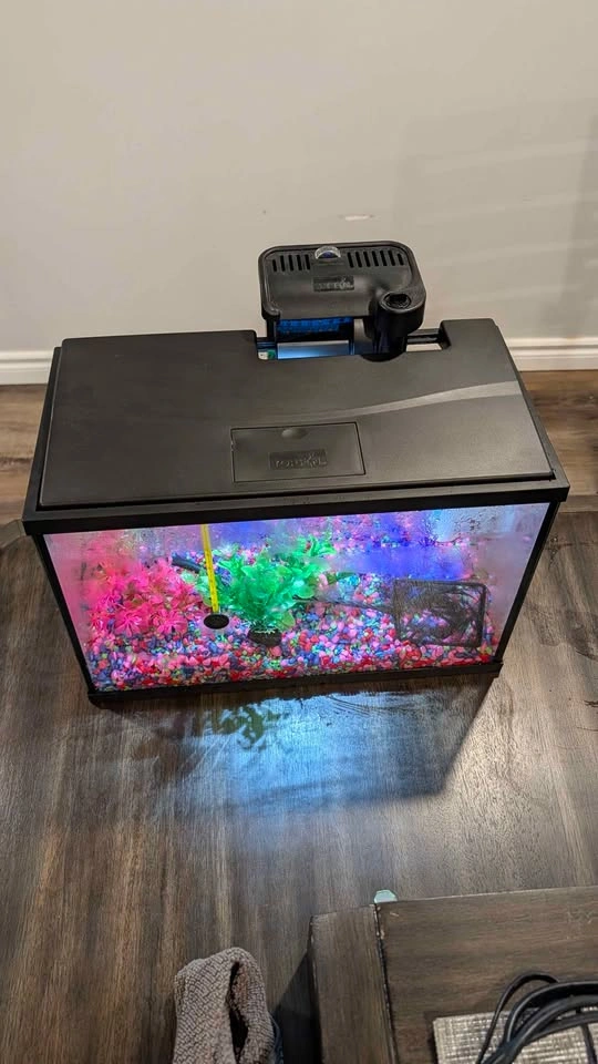 Glass Aquarium + Filter, LED, Decorations & Accessories - photo 2