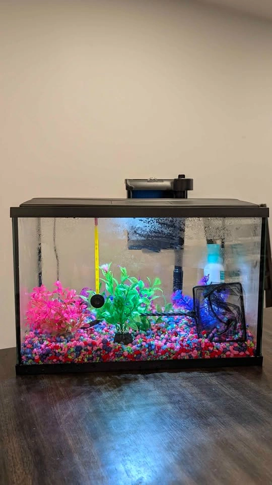 Glass Aquarium + Filter, LED, Decorations & Accessories - photo 3
